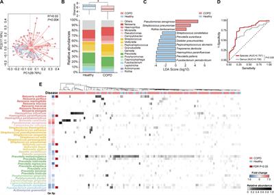 A Refined View of Airway Microbiome in Chronic Obstructive Pulmonary Disease at Species and Strain-Levels